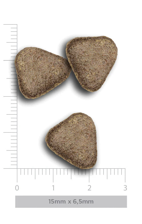 FRESH MARKET ADULT DOG