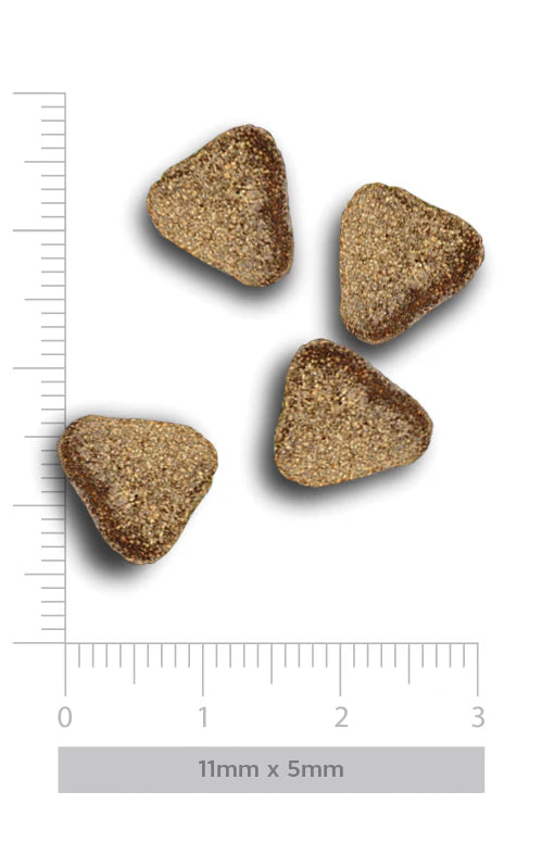 FRESM MARKET ADULT MINI