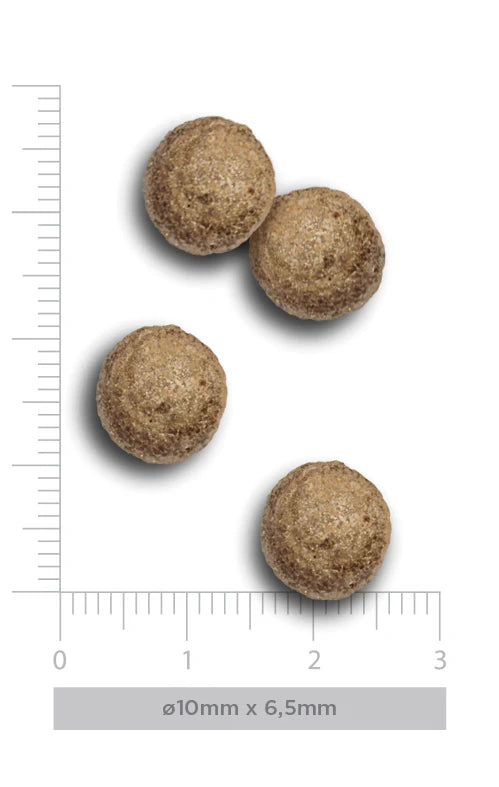 FLAVOURS OF THE FARM ADULT MINI