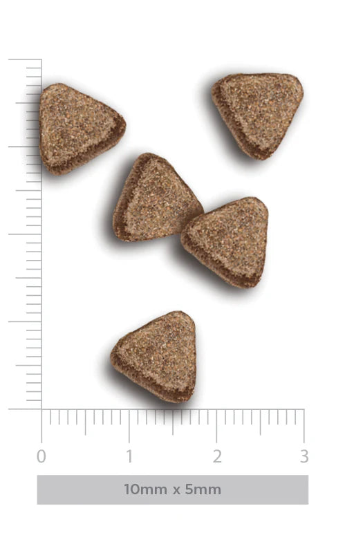 FLAVOURS OF THE FARM SENIOR CAT