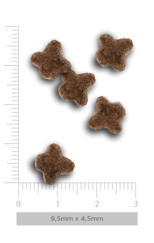 FLAVOURS OF THE FARM KITTEN