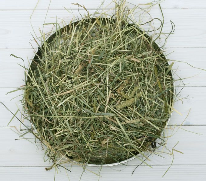 HENO ECOLÓGICO GOURMET