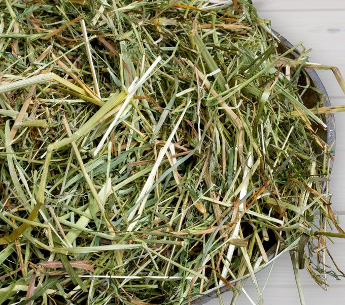 HENO DE HIERBA FRESCA