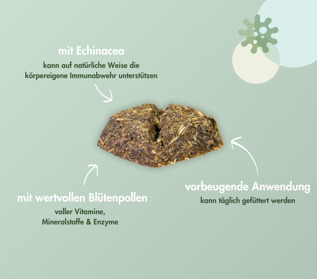 INMUNE CRACKER