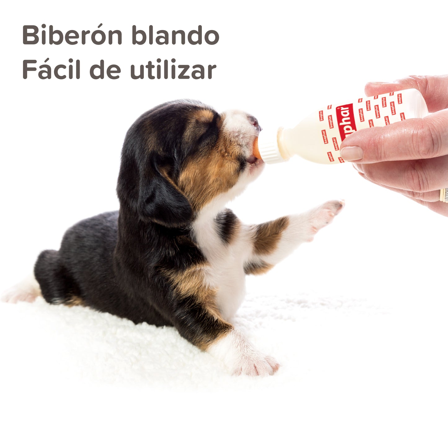 BIBERÓN