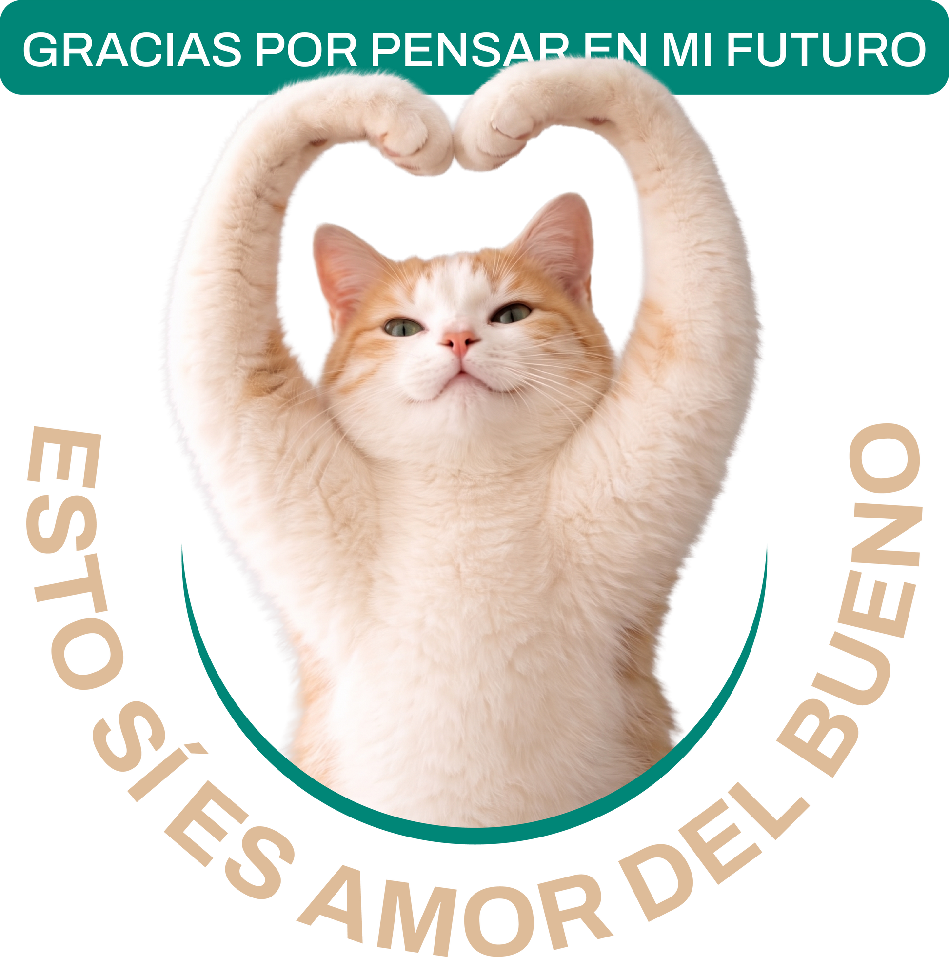 MADRIVETPLAN4MESES