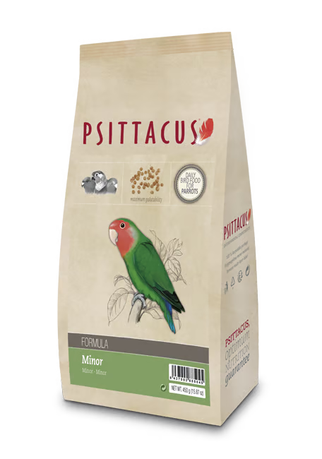 PSITTACUS MINOR