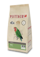 PSITTACUS MINOR