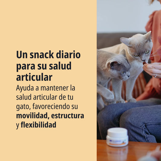 MOVOFLEX SNACK GATO