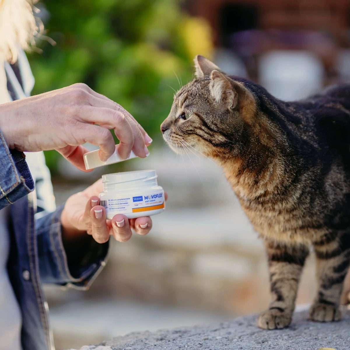 MOVOFLEX SNACK GATO