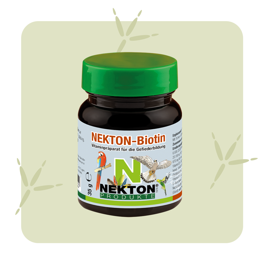 NEKTON BIOTIN