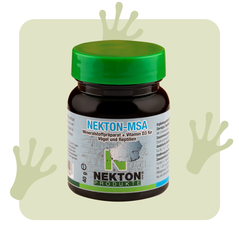 NEKTON MSA