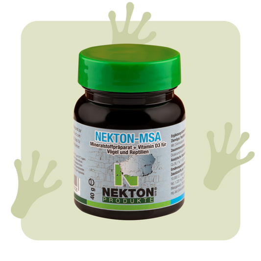 NEKTON MSA