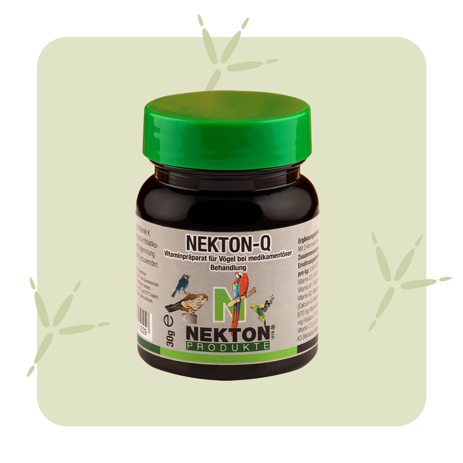 NEKTON Q
