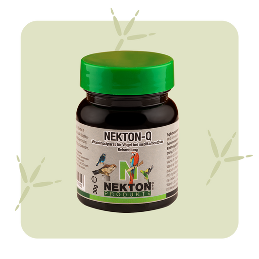 NEKTON Q