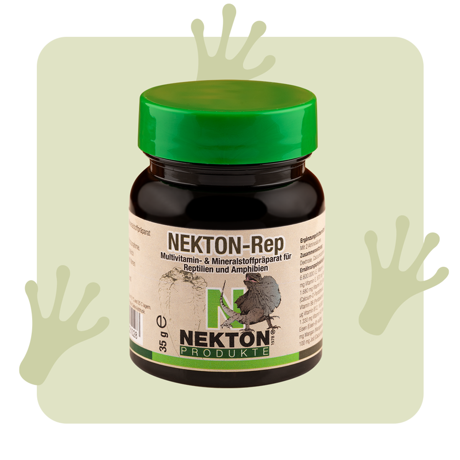 NEKTON REP