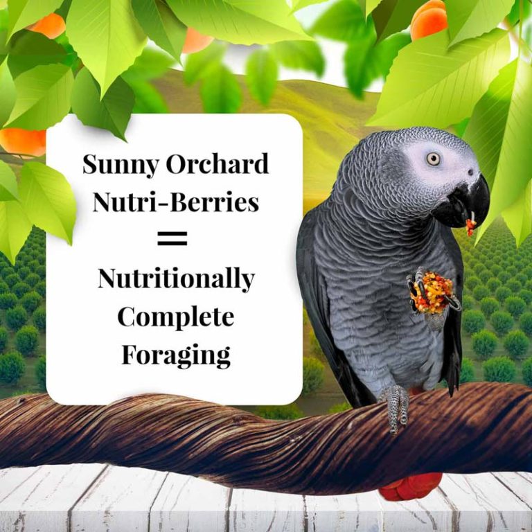 NUTRIBERRIES HUERTO SOLEADO LOROS