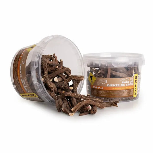 RAÍZ DE DIENTE DE LEÓN