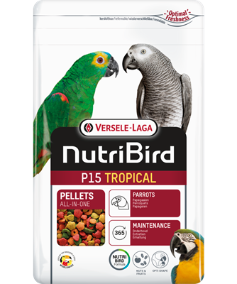 P15 TROPICAL