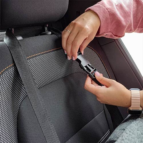 ASIENTO PARA COCHE PLACID