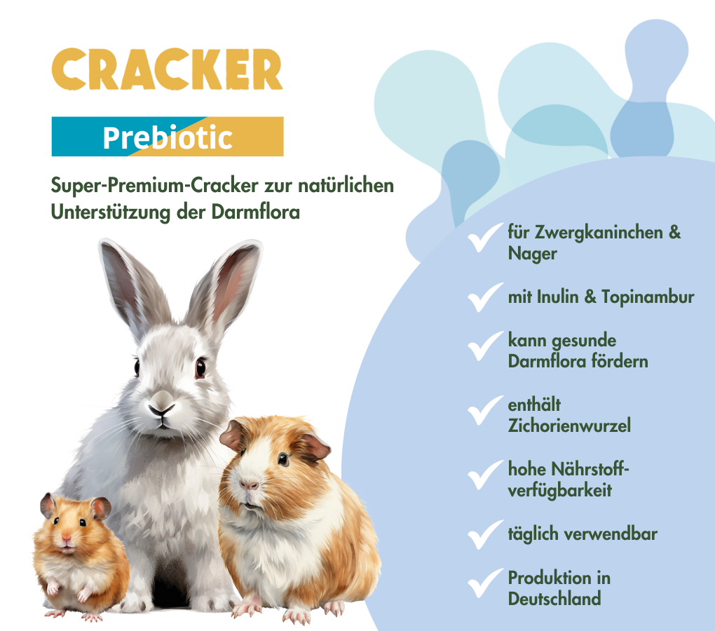 PREBIOTIC CRACKER