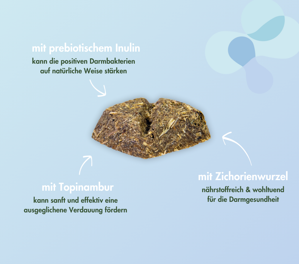 PREBIOTIC CRACKER