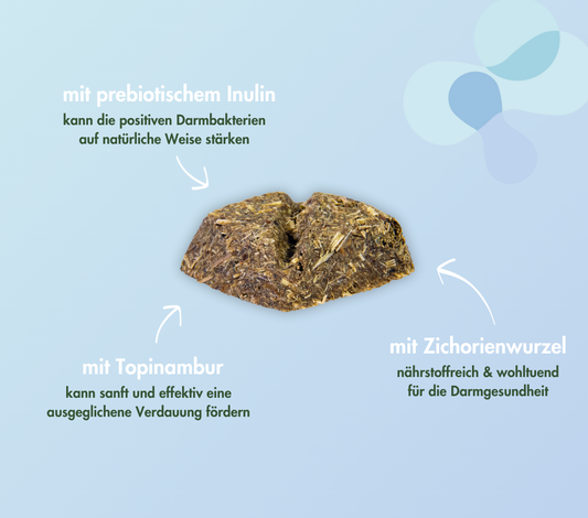 PREBIOTIC CRACKER