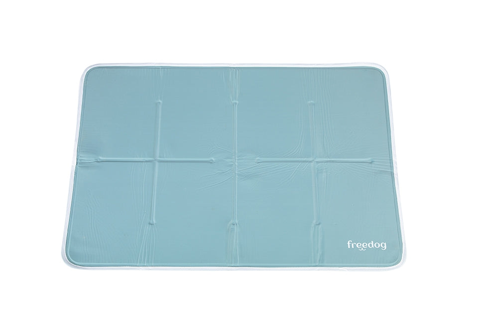 CAMA COOL PREMIUM SILVER