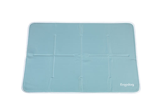 CAMA COOL PREMIUM SILVER