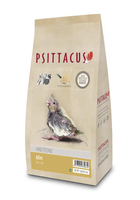PSITTACUS PAPILLA MINI