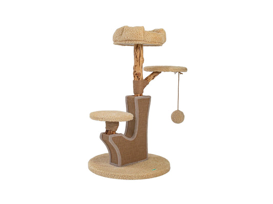 RASCADOR ZENPEAR SUMMIT MARRON