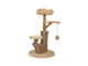 RASCADOR ZENPEAR SUMMIT MARRON