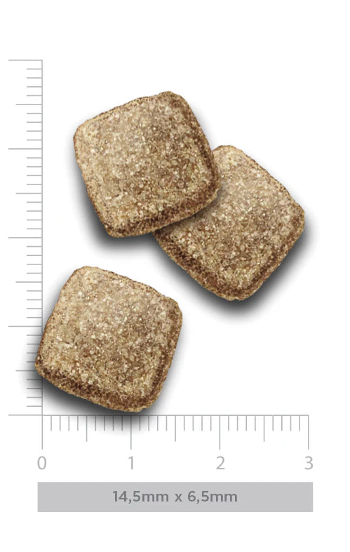 FLAVOURS OF THE FARM SENIOR AND LIGHT 2 KG