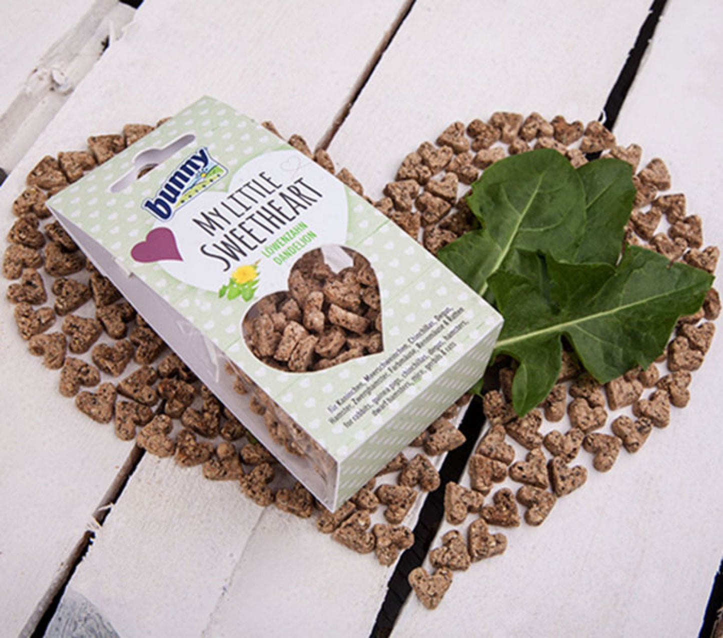 CRUNCHY CRACKER DE DIENTE DE LEÓN