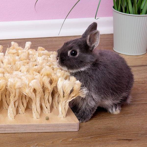 TABLA OLFATIVA NATURAL