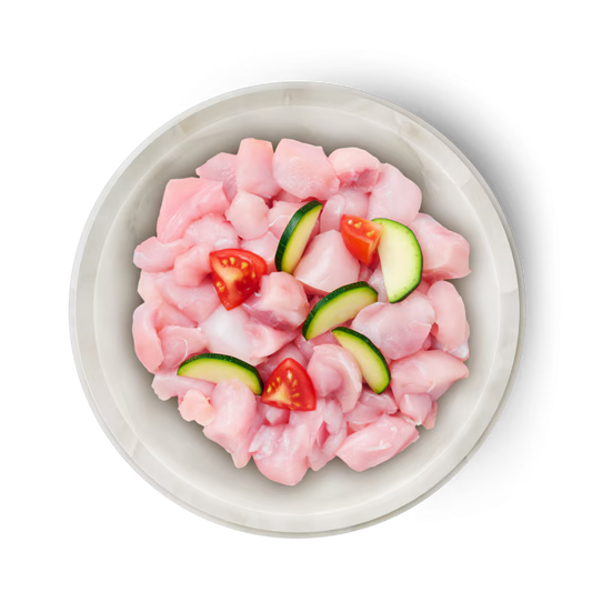 TERRA FELIS CONEJO FAMOUSE