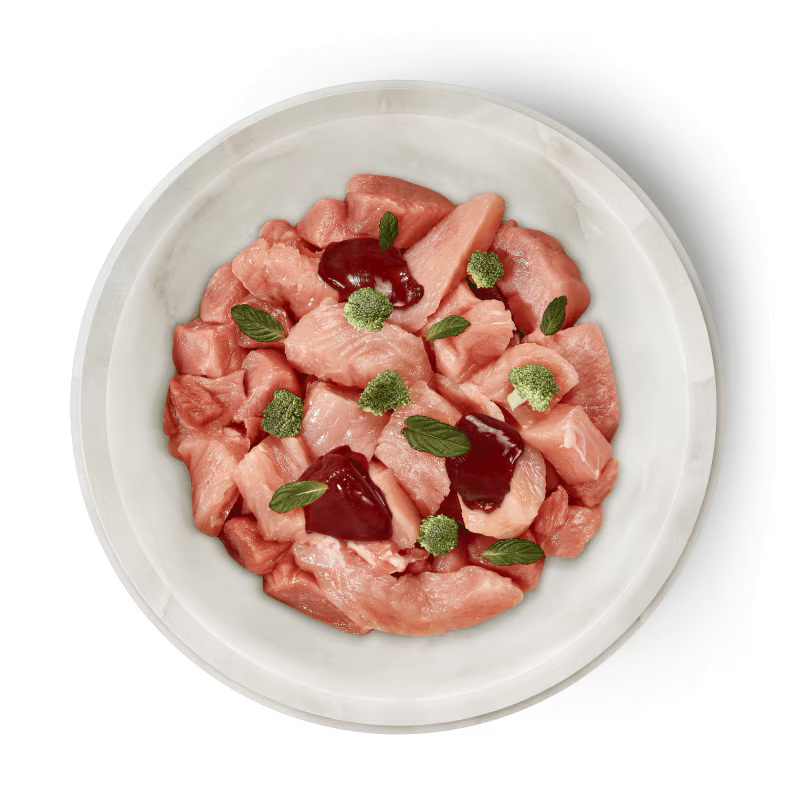 TERRA FELIS CONEJO Y PAVO FAMOUSE