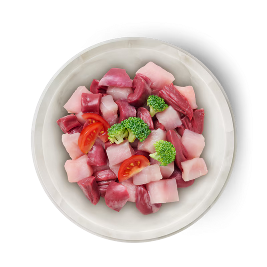 TERRA FELIS PAVO FAMOUSE