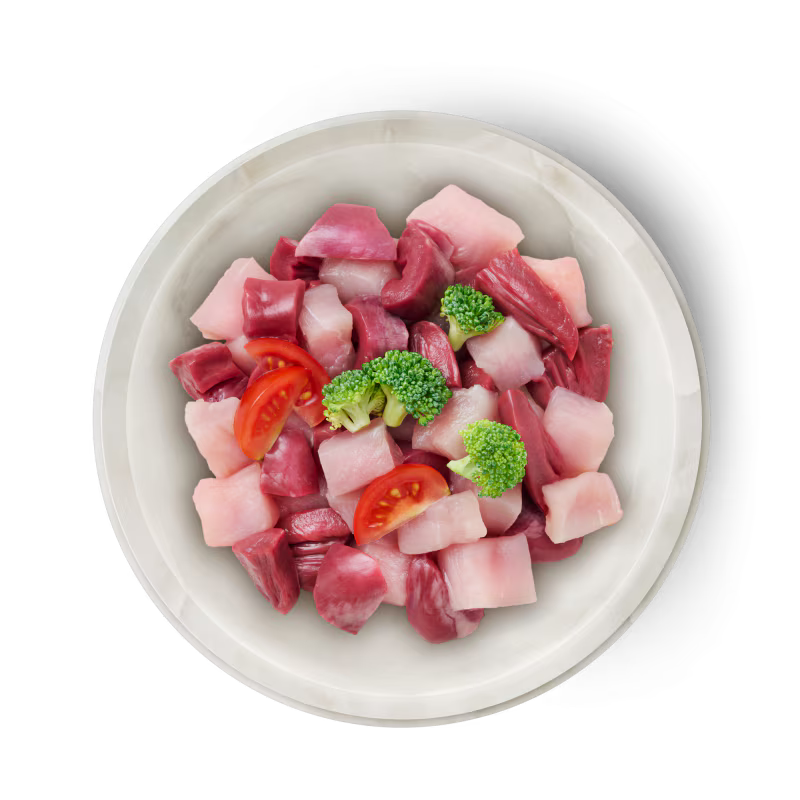 TERRA FELIS PAVO FAMOUSE