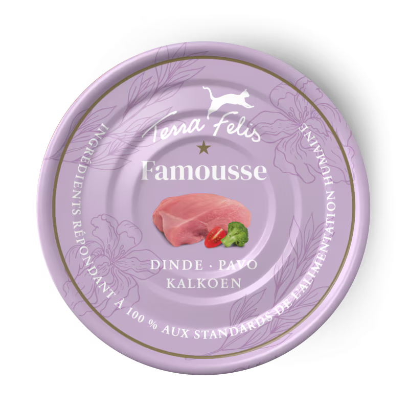 TERRA FELIS PAVO FAMOUSE