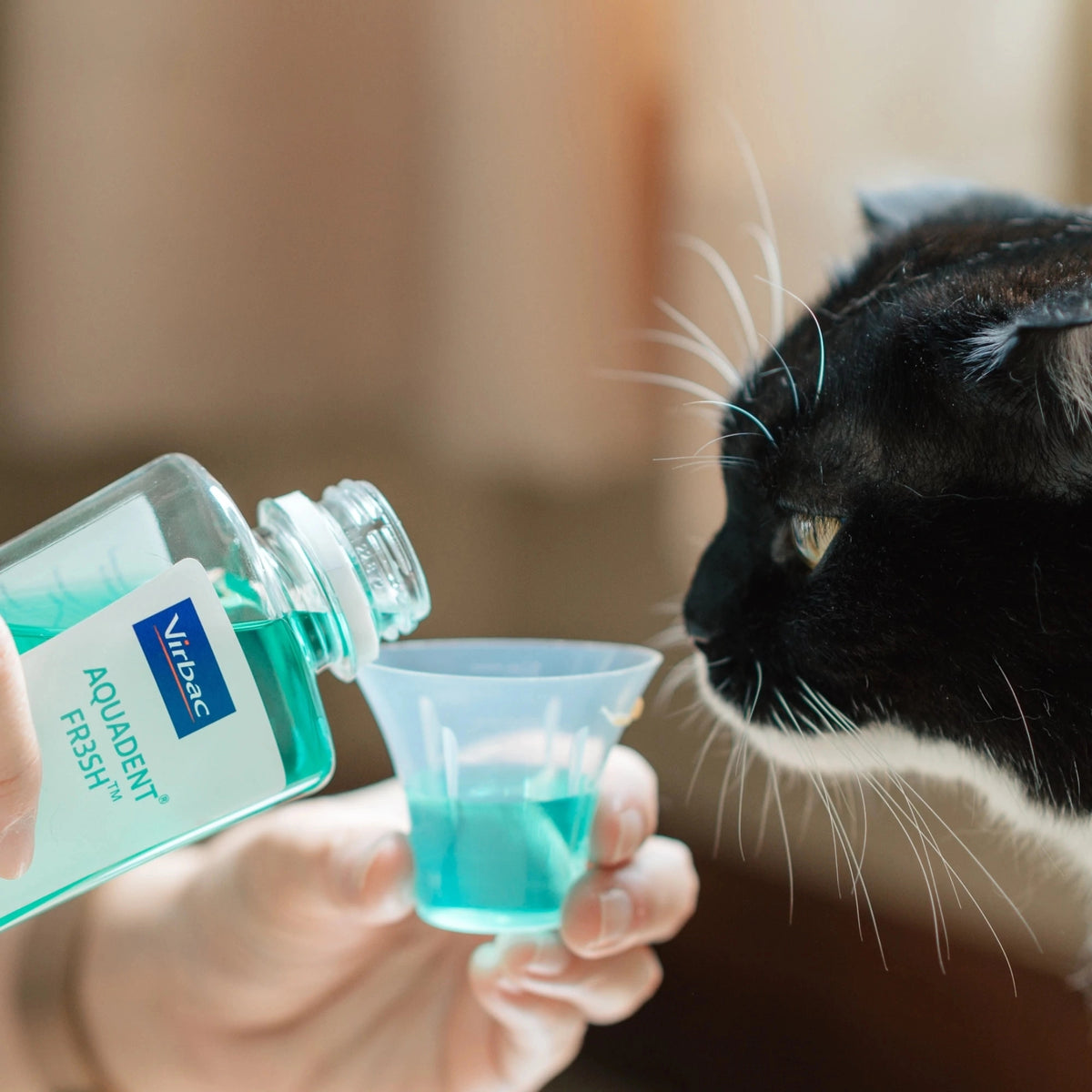 VET AQUADENT FRESH