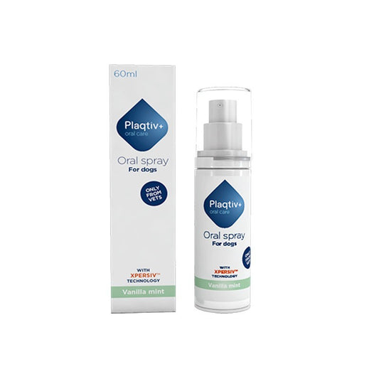 PLAQTIV+  SPRAY BUCODENTAL