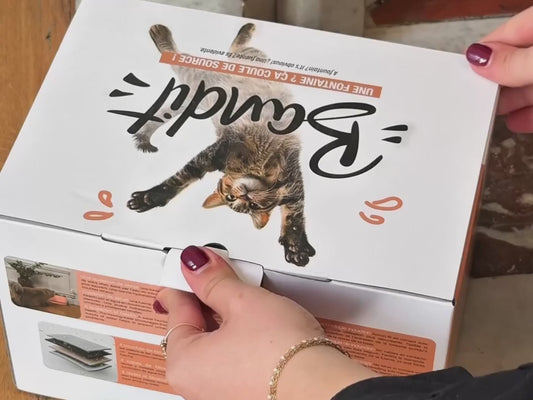 FUENTE POR CABLE DE ACERO INOXIDABLE