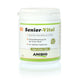 SENIOR VITAL